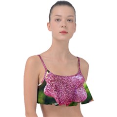 Christmas Decoration 6 Frill Bikini Top