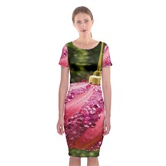 Christmas Decoration 9 Classic Short Sleeve Midi Dress by artworkshop