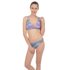 Bird Art Design Pattern Butterfly Classic Banded Bikini Set  by Wegoenart