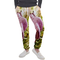 Christmas Decoration Star 2 Men s Jogger Sweatpants by artworkshop