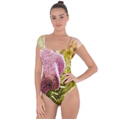 Christmas Decoration Star 2 Short Sleeve Leotard  by artworkshop