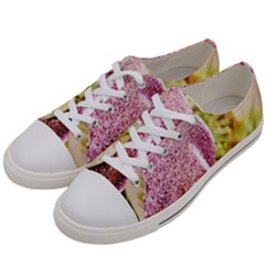 Christmas Decoration Star 2 Women s Low Top Canvas Sneakers by artworkshop