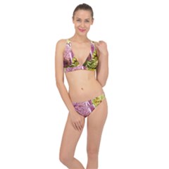 Christmas Decoration Star 2 Classic Banded Bikini Set  by artworkshop