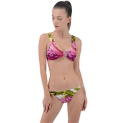 Christmas Decoration 7 Ring Detail Crop Bikini Set by artworkshop