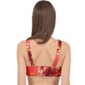 Red Ribbon Bow On White Background Cage Up Bikini Top View2