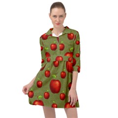 Apples Mini Skater Shirt Dress by nateshop