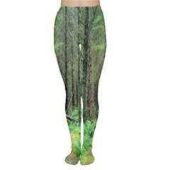 Forest Woods Nature Landscape Tree Tights