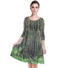 Forest Woods Nature Landscape Tree Quarter Sleeve Waist Band Dress by Celenk