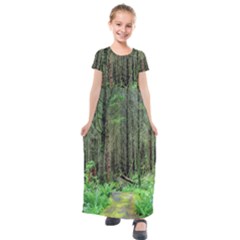 Forest Woods Nature Landscape Tree Kids  Short Sleeve Maxi Dress by Celenk