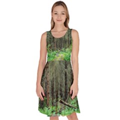 Forest Woods Nature Landscape Tree Knee Length Skater Dress With Pockets by Celenk