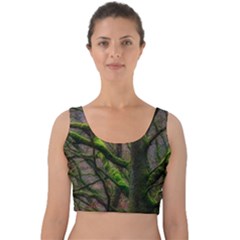 Tree Moss Forest Bark Wood Trunk Velvet Crop Top by Wegoenart