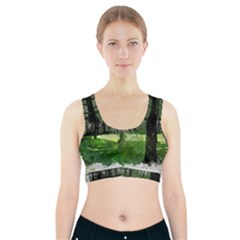 Beeches Trees Tree Lawn Forest Nature Sports Bra With Pocket by Wegoenart