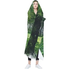 Beeches Trees Tree Lawn Forest Nature Wearable Blanket