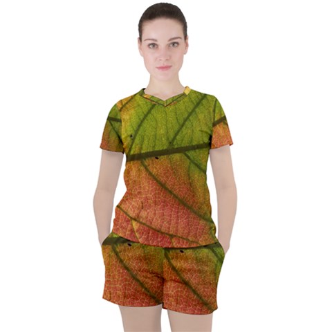 Leaf Autumn Fall Season Macro Women s Tee And Shorts Set by Wegoenart