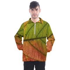 Leaf Autumn Fall Season Macro Men s Half Zip Pullover by Wegoenart
