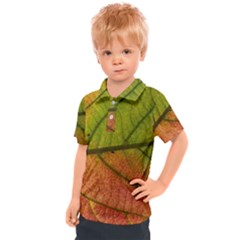 Leaf Autumn Fall Season Macro Kids  Polo Tee