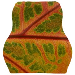 Leaf Veins Texture Autumn Fall Car Seat Velour Cushion  by Wegoenart