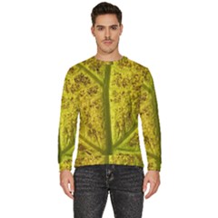 Leaf Structure Texture Background Men s Fleece Sweatshirt by Wegoenart