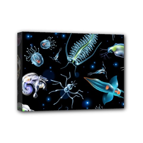 Colorful Abstract Pattern Consisting Glowing Lights Luminescent Images Marine Plankton Dark Mini Canvas 7  X 5  (stretched)