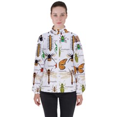 Insects-seamless-pattern Women s High Neck Windbreaker