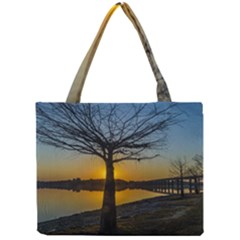 Grande Stream Landscape, Flores, Uruguay002 Mini Tote Bag by dflcprintsclothing