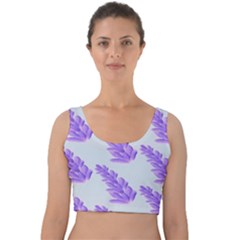 Cute Lavanda Blue Velvet Crop Top by ConteMonfrey