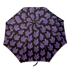 Black Seaweed Folding Umbrellas by ConteMonfrey
