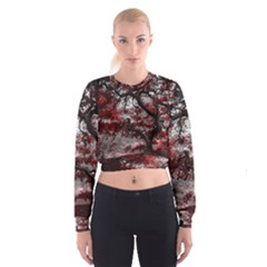 Tree Red Nature Abstract Mood Cropped Sweatshirt