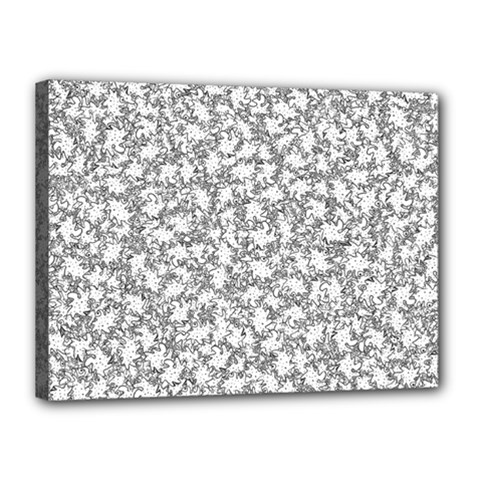 Bacterias Drawing Black And White Pattern Canvas 16  X 12  (stretched) by dflcprintsclothing