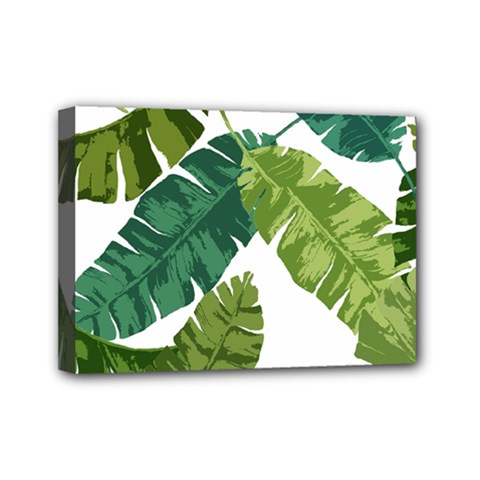 Banana Leaves Tropical Mini Canvas 7  X 5  (stretched) by ConteMonfrey
