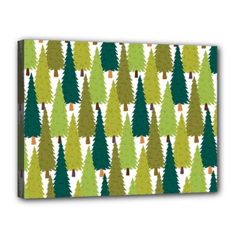 Pine Trees   Canvas 16  X 12  (stretched) by ConteMonfrey