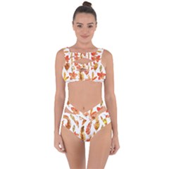 Hot Colors Nature Glimpse Bandaged Up Bikini Set  by ConteMonfrey