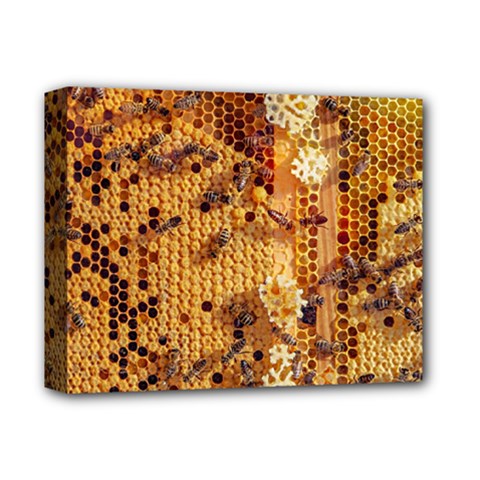 Insect Macro Honey Bee Animal Deluxe Canvas 14  x 11  (Stretched)