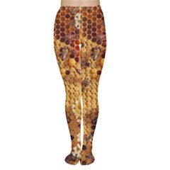 Insect Macro Honey Bee Animal Tights