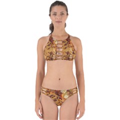 Insect Macro Honey Bee Animal Perfectly Cut Out Bikini Set