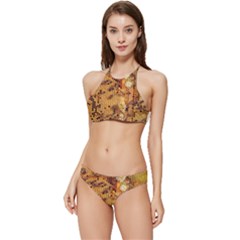 Insect Macro Honey Bee Animal Banded Triangle Bikini Set