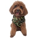 Army Design Dog Sweater View1