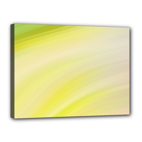 Gradient green yellow Canvas 16  x 12  (Stretched)