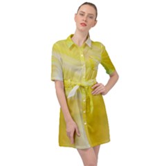 Gradient Green Yellow Belted Shirt Dress by ConteMonfrey