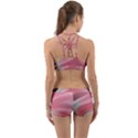 Gradient pink green Back Web Gym Set View2