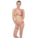 Gradient pink yellow Classic Banded Bikini Set  View1