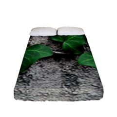 Vine On Damaged Wall Photo Fitted Sheet (full/ Double Size) by dflcprintsclothing