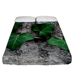 Vine On Damaged Wall Photo Fitted Sheet (queen Size) by dflcprintsclothing