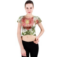 Flowers Vintage Background Retro Floral Stem Crew Neck Crop Top by Wegoenart