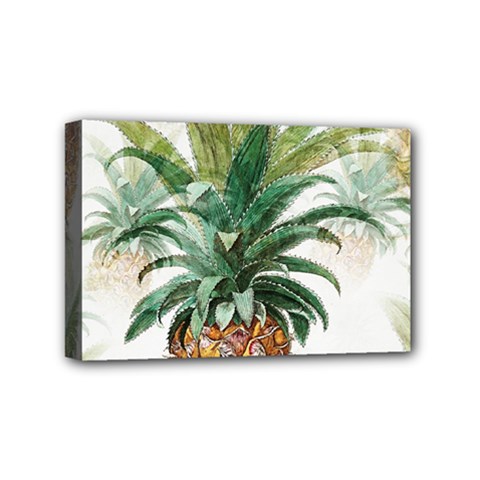 Pineapple Pattern Background Seamless Vintage Mini Canvas 6  x 4  (Stretched)