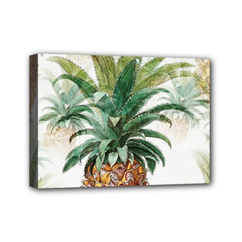 Pineapple Pattern Background Seamless Vintage Mini Canvas 7  x 5  (Stretched)