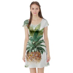 Pineapple Pattern Background Seamless Vintage Short Sleeve Skater Dress
