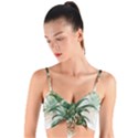 Pineapple Pattern Background Seamless Vintage Woven Tie Front Bralet View1