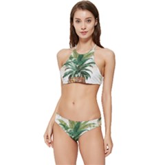 Pineapple Pattern Background Seamless Vintage Banded Triangle Bikini Set