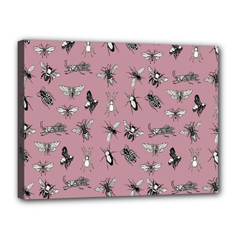 Insects pattern Canvas 16  x 12  (Stretched)